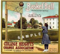 Ampliar Foto: College Heights Orange & Lemon Association (1910)